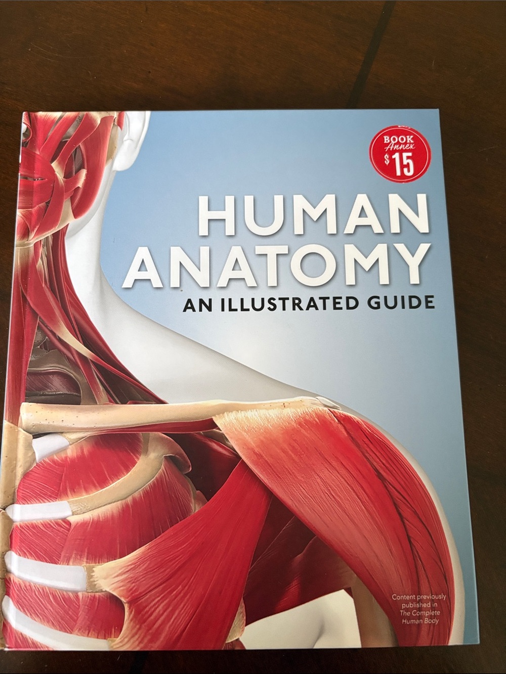 Human Anatomy